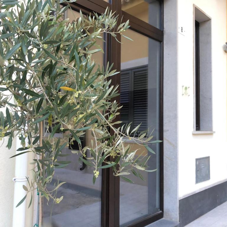 Terra di Sicilia Luxury Centro - Suite Superior - 5