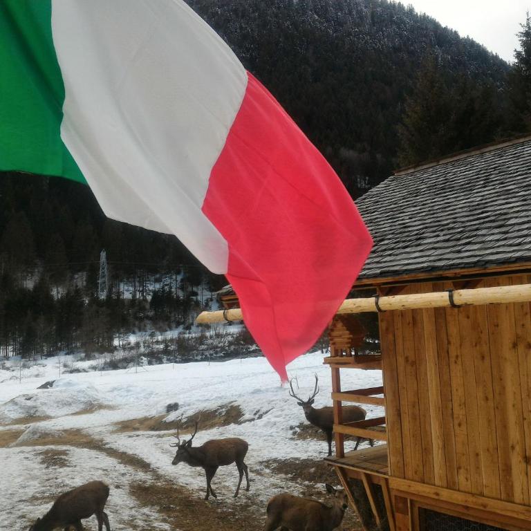 Casa Lausen - Appartamento - 71