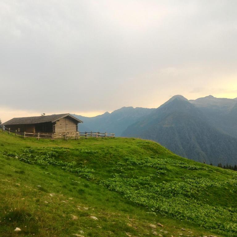 Casa Lausen - Appartamento - 74
