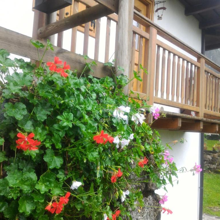 Casa Lausen - Appartamento - 25