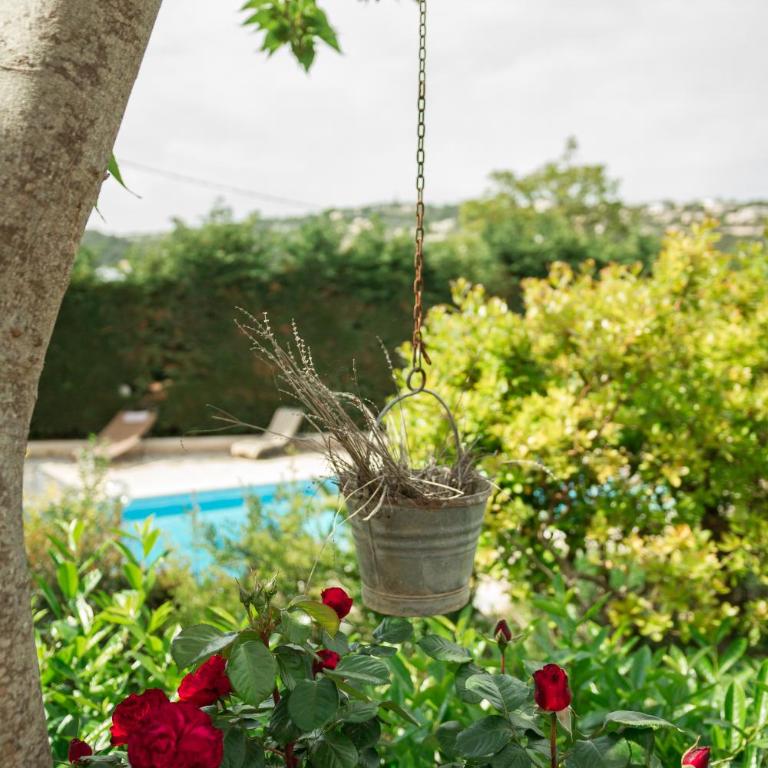 Villa Giacomina - Appartamento - 32