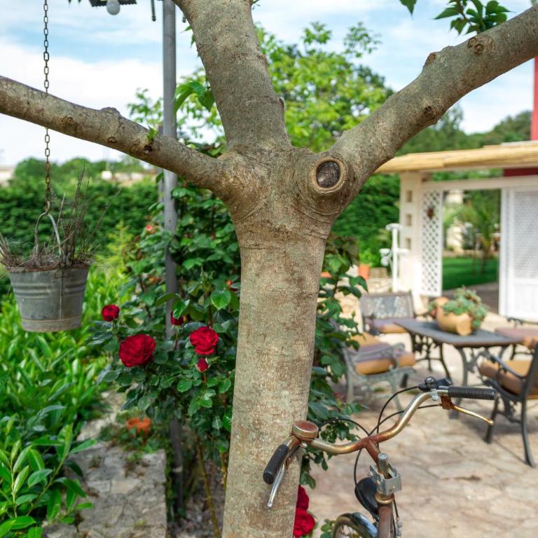 Villa Giacomina - Appartamento - 23
