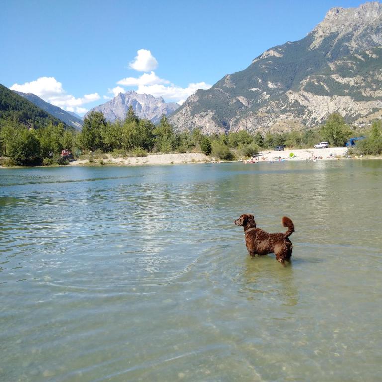 Chalet Gyronde - Chalet - 14