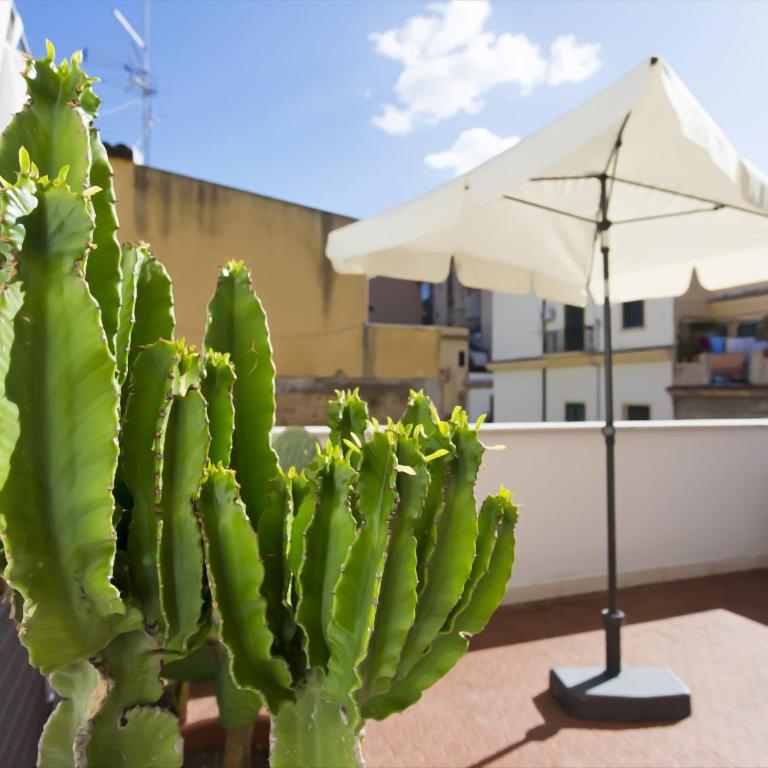 il geranio blu - Apartment - 3