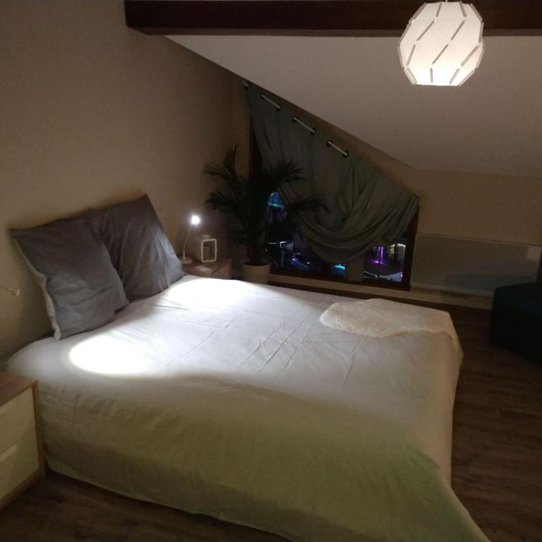La Résilience - GERARDMER - Appartement 1 Chambre - 3