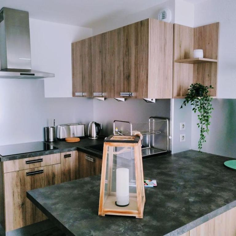 La Résilience - GERARDMER - Appartement 1 Chambre - 1