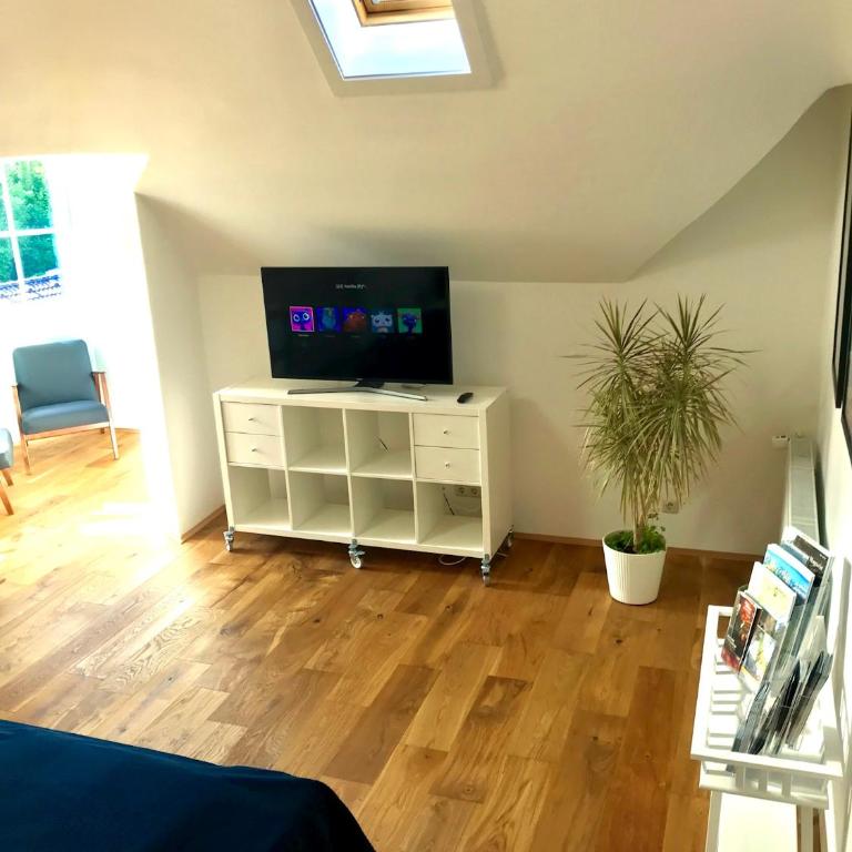 Villa Traun - Apartment mit Balkon (Top9) - 9