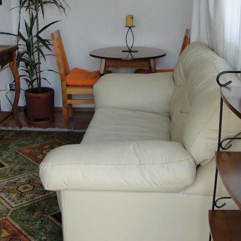 Steinhaus Suites Emilio Castelar - Studio with Terrace - 3
