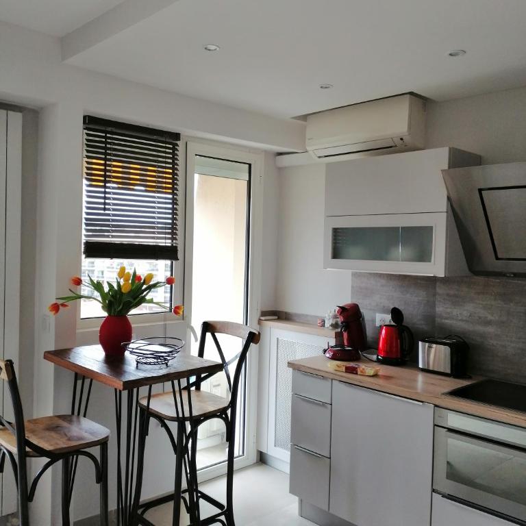 Le Cros de Cagnes - Apartment - 3
