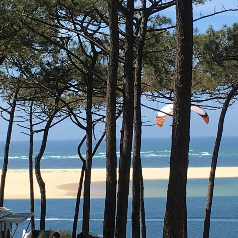 Maison familiale de vacances proche océan, dune Pyla, plages, lac de Cazaux, sites de loisirs - Casa con 3 Camere da Letto - 41