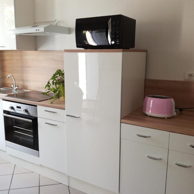 Appartement avec jardin à Colmar - Apartment - Ground Floor - 1
