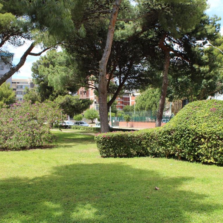 Chelu & Luna - Three-Bedroom Apartment - 55