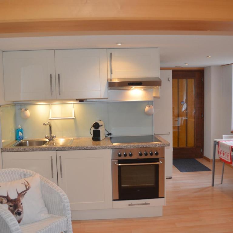 Fluehblüemli - Studio-Apartment - 5