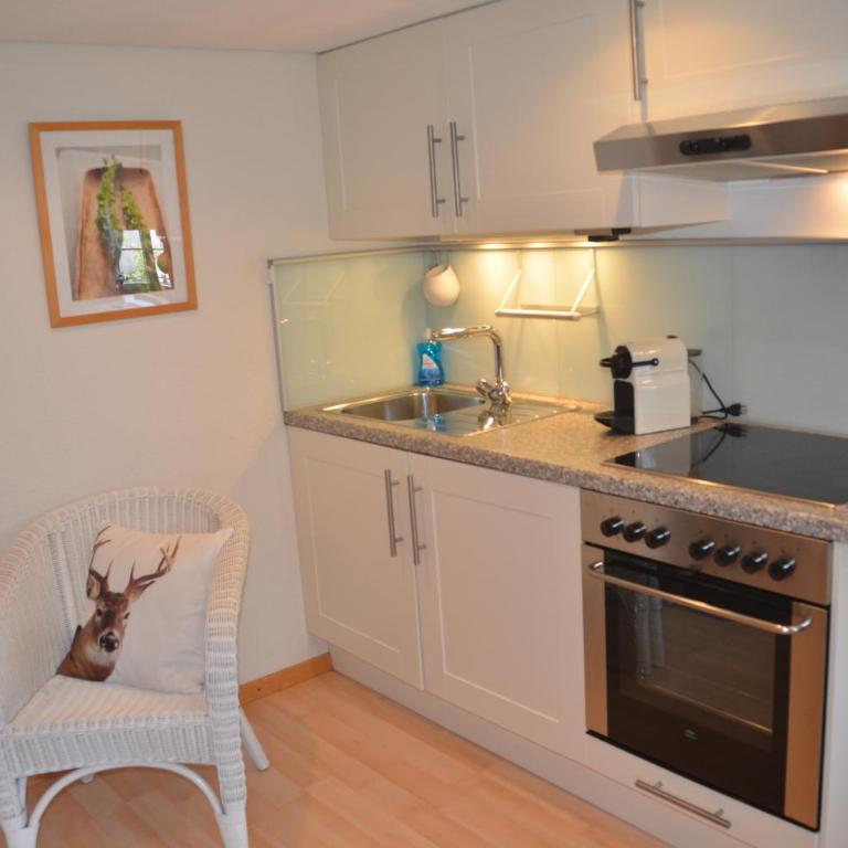 Fluehblüemli - Studio-Apartment - 4