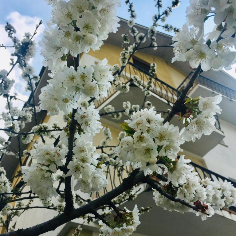 Dimora del cuore - Apartment mit 2 Schlafzimmern - 16