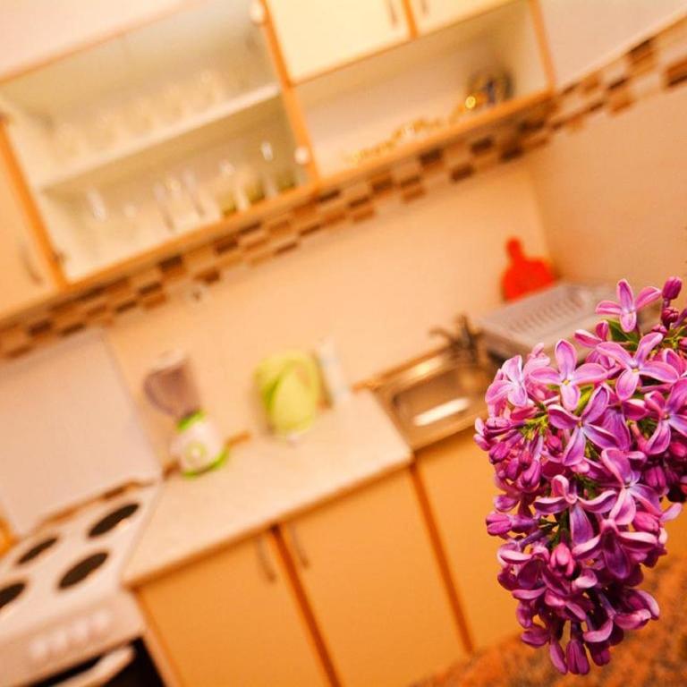 Apartments Bella di Boka - Komfor Apartman sa 2 Spavaće Sobe i Balkonom - 8