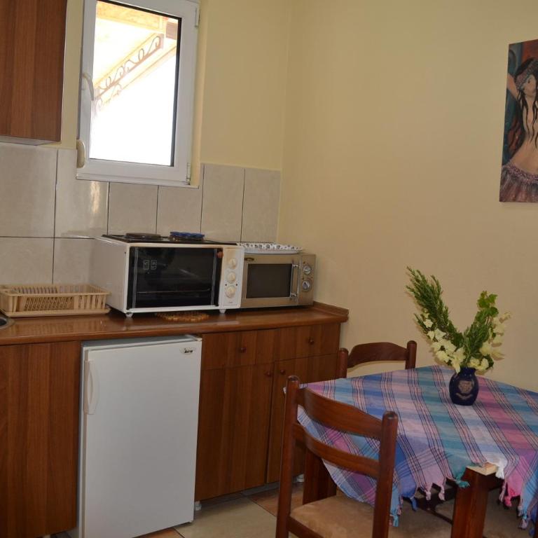 Apartments Milosevic - Studio with Sea View - 12