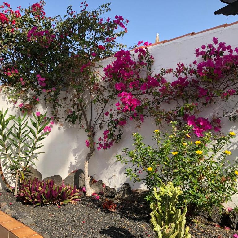 Casita CHAO Puerto del Carmen - Apartment with Sea View - 88