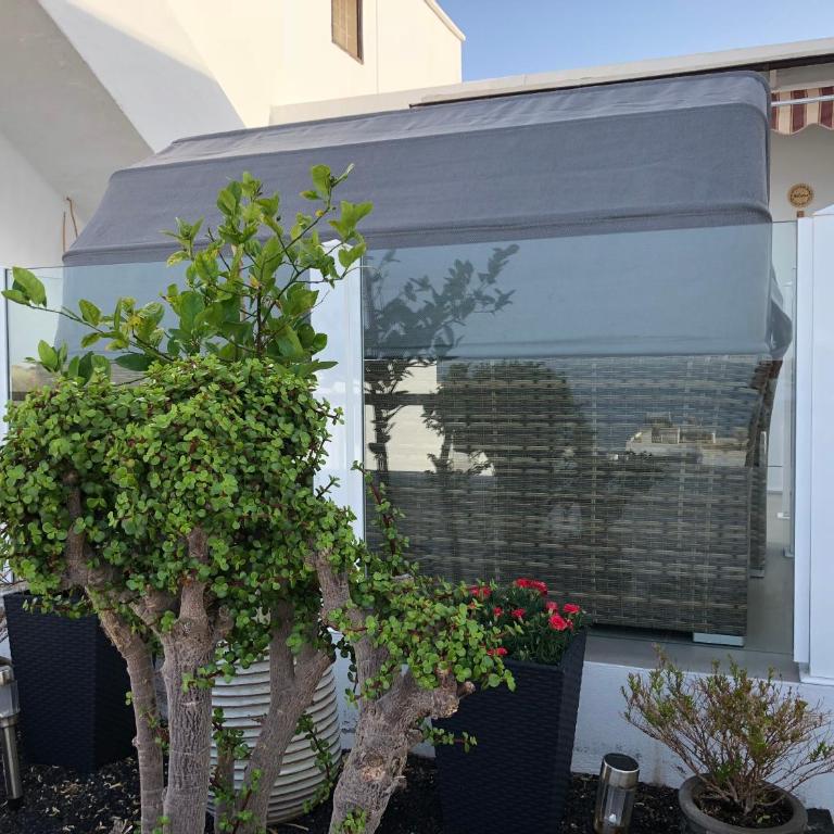 Casita CHAO Puerto del Carmen - Apartment with Sea View - 20