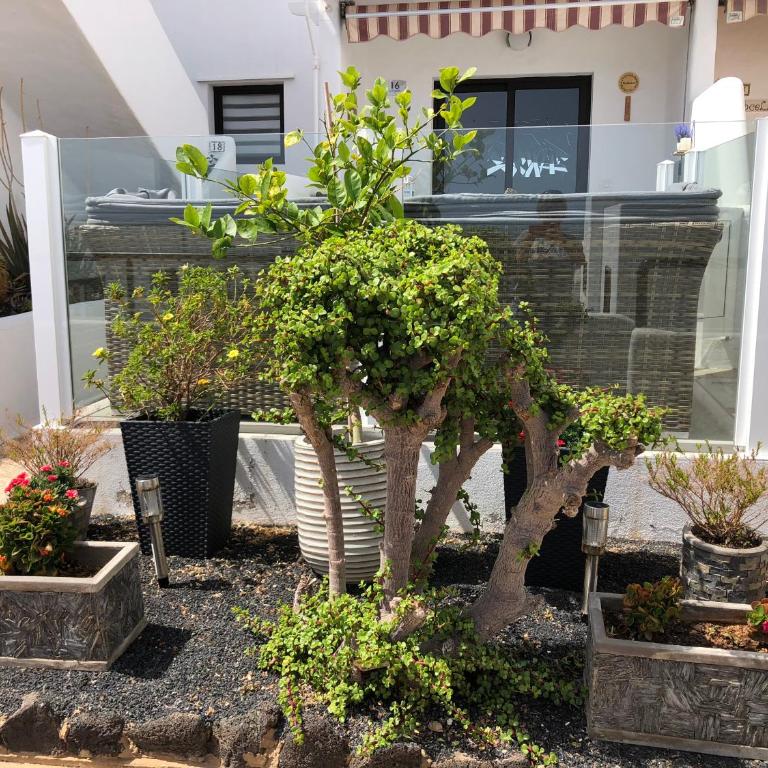 Casita CHAO Puerto del Carmen - Apartment with Sea View - 98