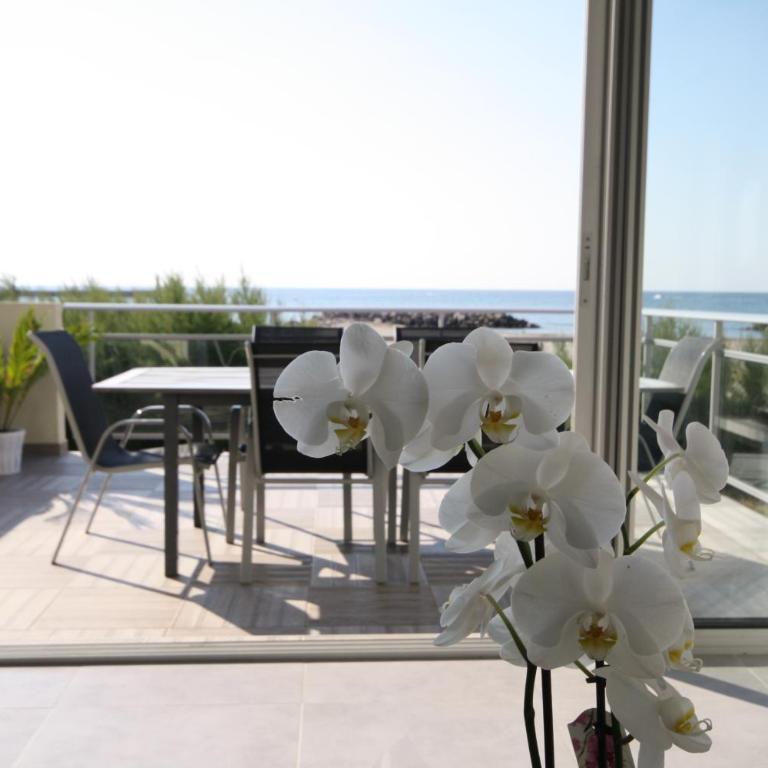 Résidence La Voile Blanche 1 - Appartement 2 Chambres - 26