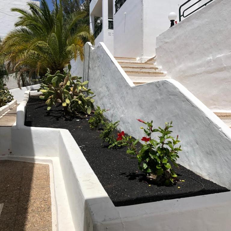 APARTAMENTO CHAO PORTONOVO - Apartment - 45