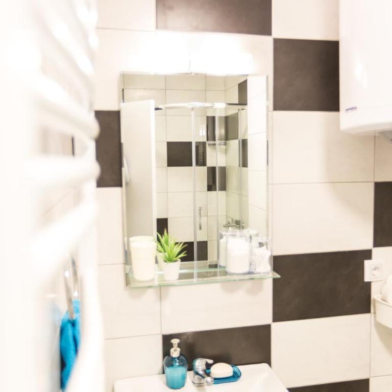 Apartman SREBRNA PAHULJA - One-Bedroom Apartment - 21