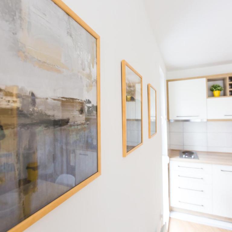 Apartman SREBRNA PAHULJA - One-Bedroom Apartment - 9