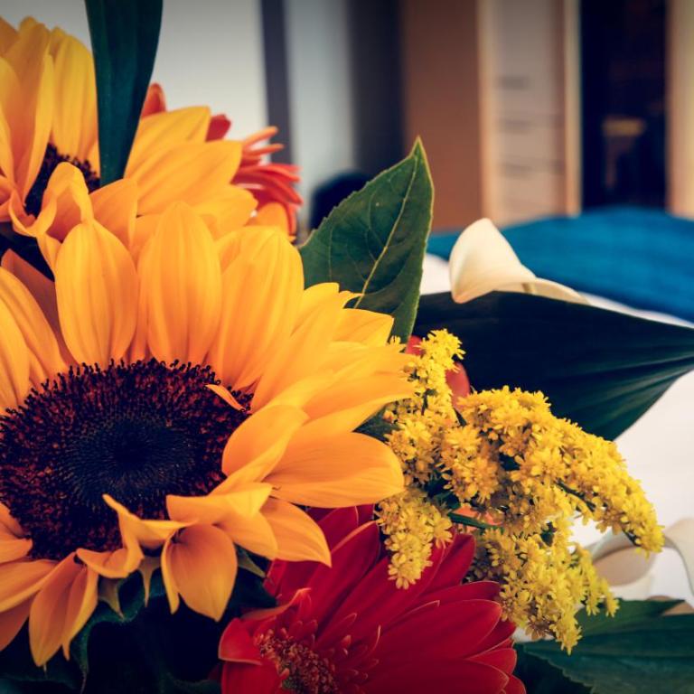 Taormina Panoramic Hotel - Camera Matrimoniale/Doppia con Letti Singoli con Vista Mare - 12
