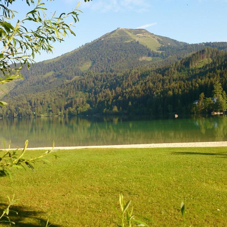 Gerli Appartement Mariazell - Apartment mit 2 Schlafzimmern - 18
