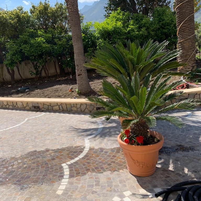 Villa Lucia - Appartamento - 34