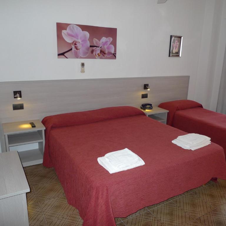 Hotel Alexander - Camera Tripla Basic - 17
