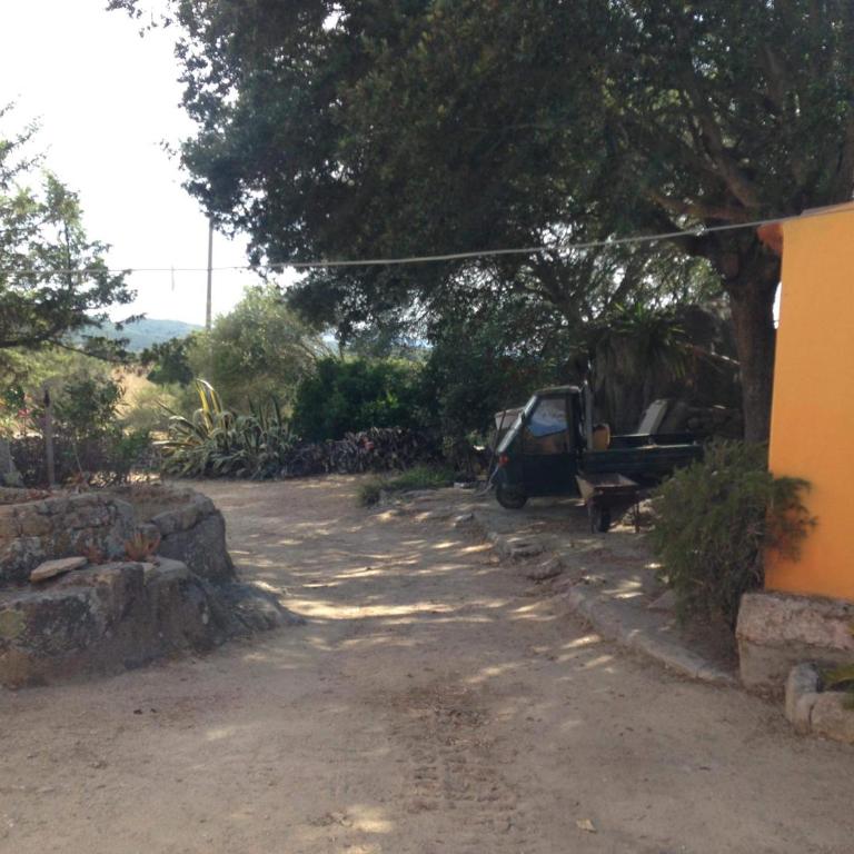 Casa Maltinu - Two-Bedroom House - 15