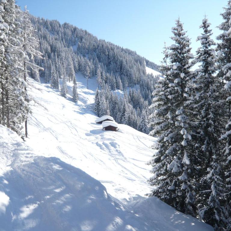 Haus Widmoos - Apartment mit 2 Schlafzimmern - 17