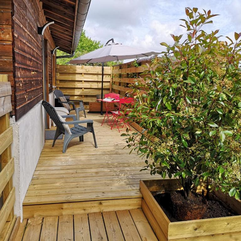 Hossegor Les Bécasses - Apartment mit Terrasse - 12