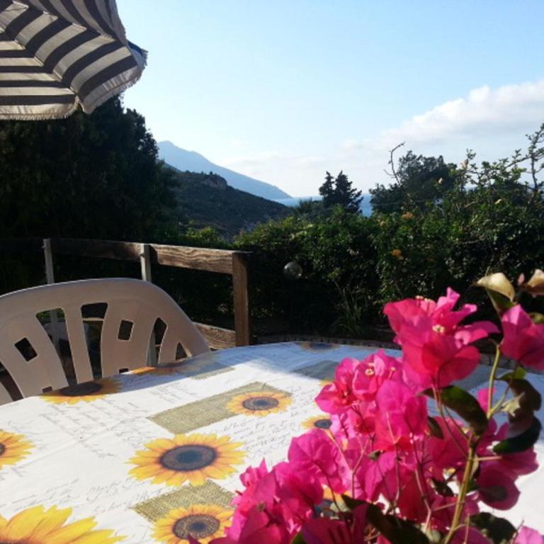 Two Steps From The Sea - Villa Fronte Spiaggia - 11