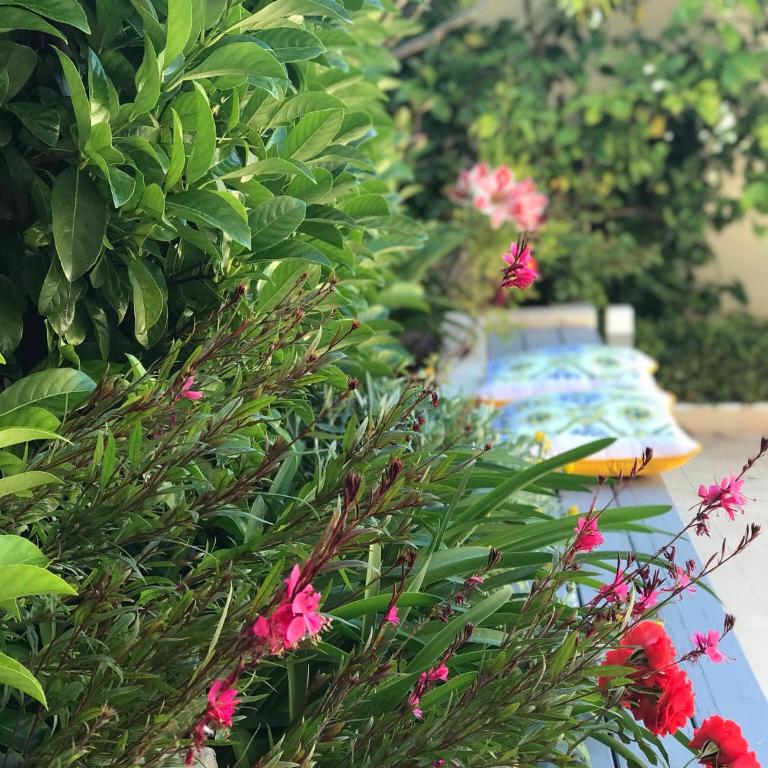 La casetta di Giò - Vacation Home - 7