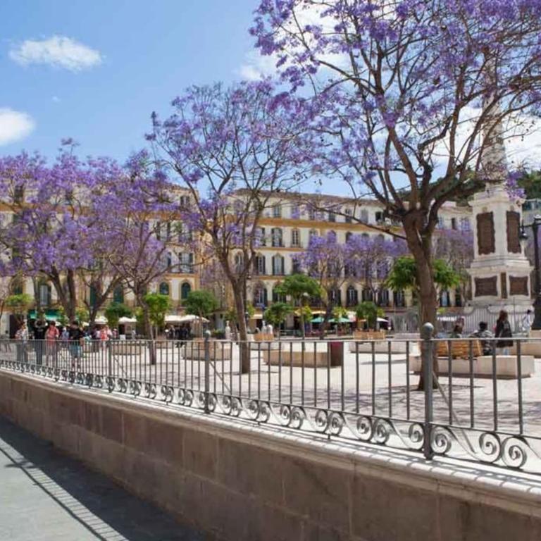 Perla Lagunillas Málaga - Apartamento de 1 dormitorio - 20