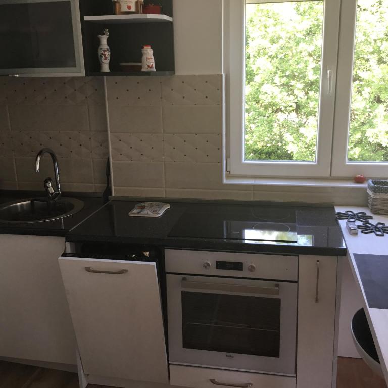 Vila Jovana - Suite sa 2 Spavaće Sobe - 5