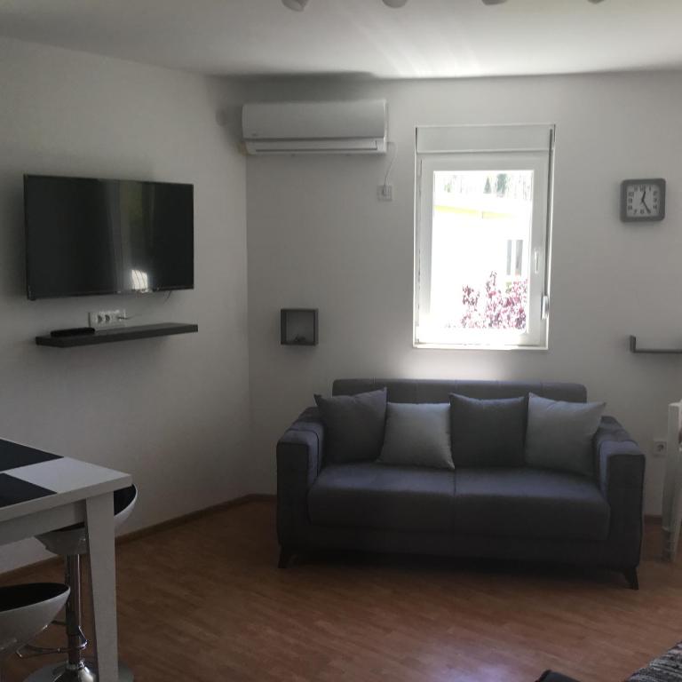 Vila Jovana - Suite sa 2 Spavaće Sobe - 3
