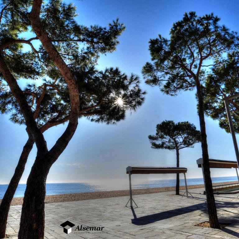 Catalunya Apartament per 4 persones en edifici del passeig marítim amb vistes sobre la Vall d'Aro - Apartamento de 1 dormitorio - 42
