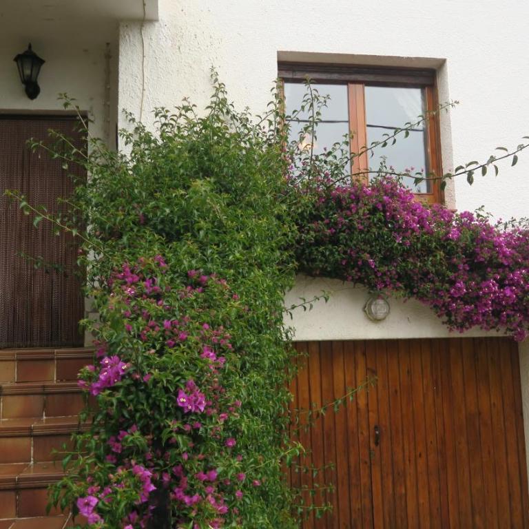 CA L' ANGELINA - Three-Bedroom House - 3