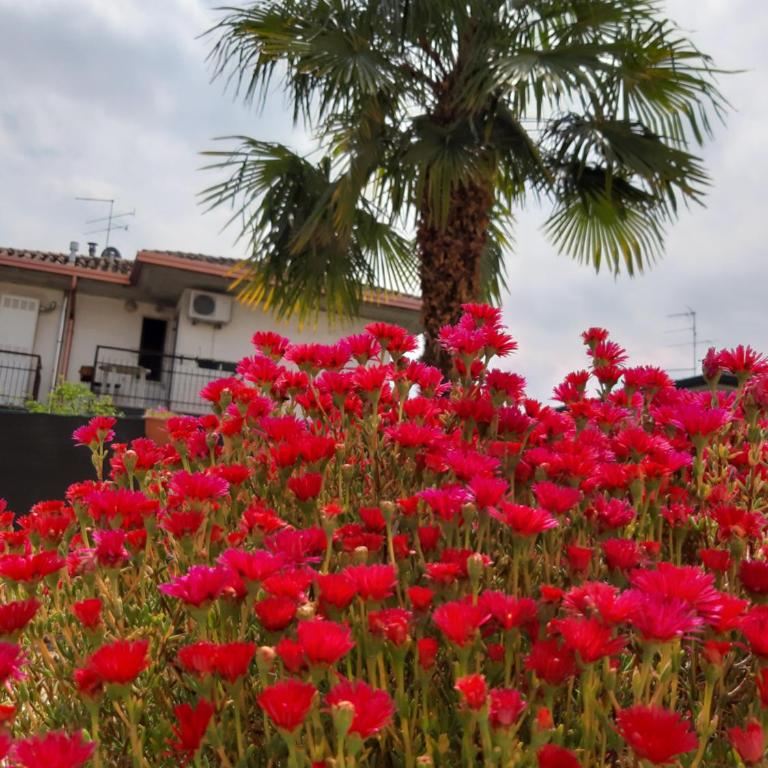 Villa Marianna Garda Lake - Superior Apartment - 12