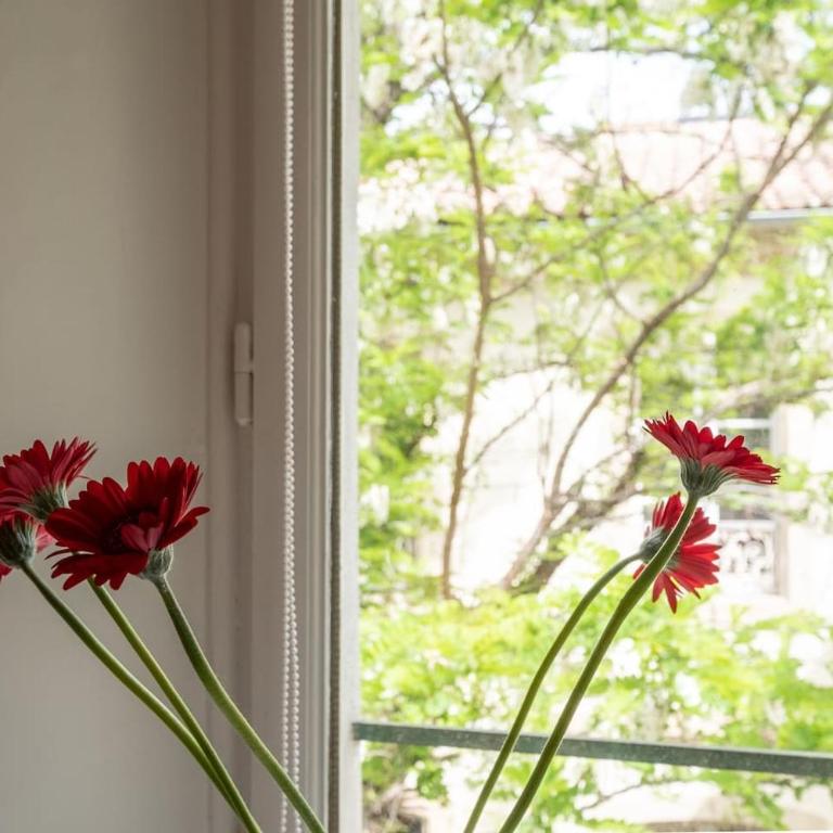 Sunny, Breezy Gem in the Centre of the Old City - Appartamento con 2 Camere da Letto - 31