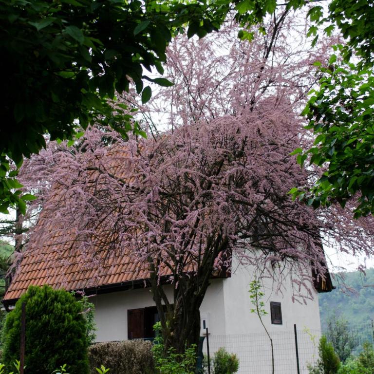 Lodge Zbilje Visoko, Bosnian Pyramids - Superior Koliba - 44