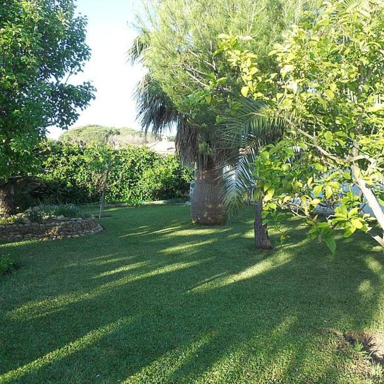Macondo La barrosa - Casa - 19