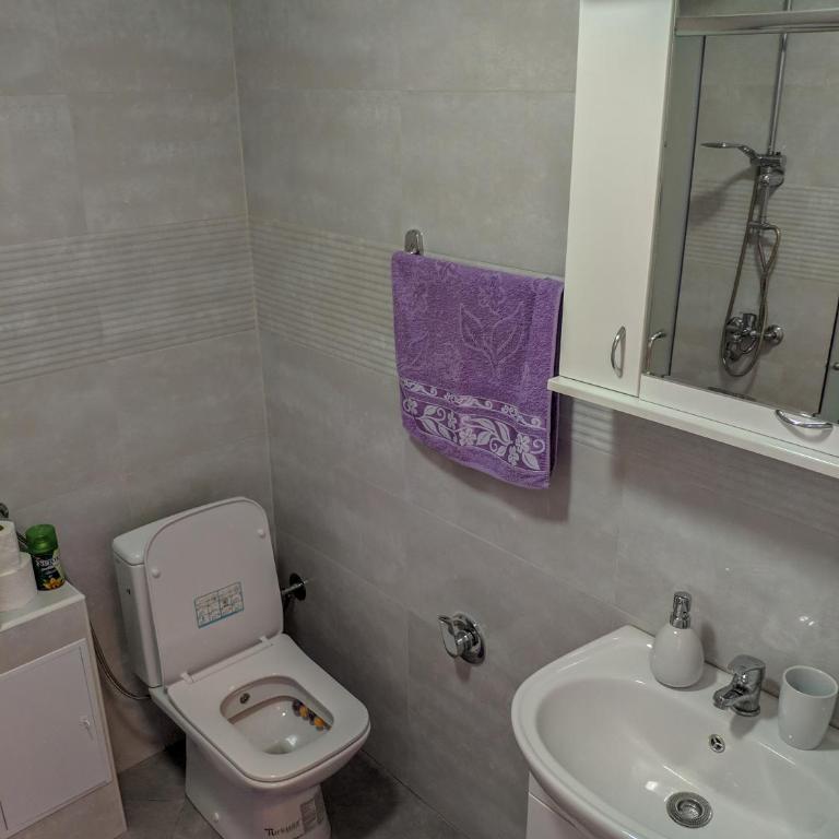 Apartment Branka - Apartman sa 2 Spavaće Sobe - 15