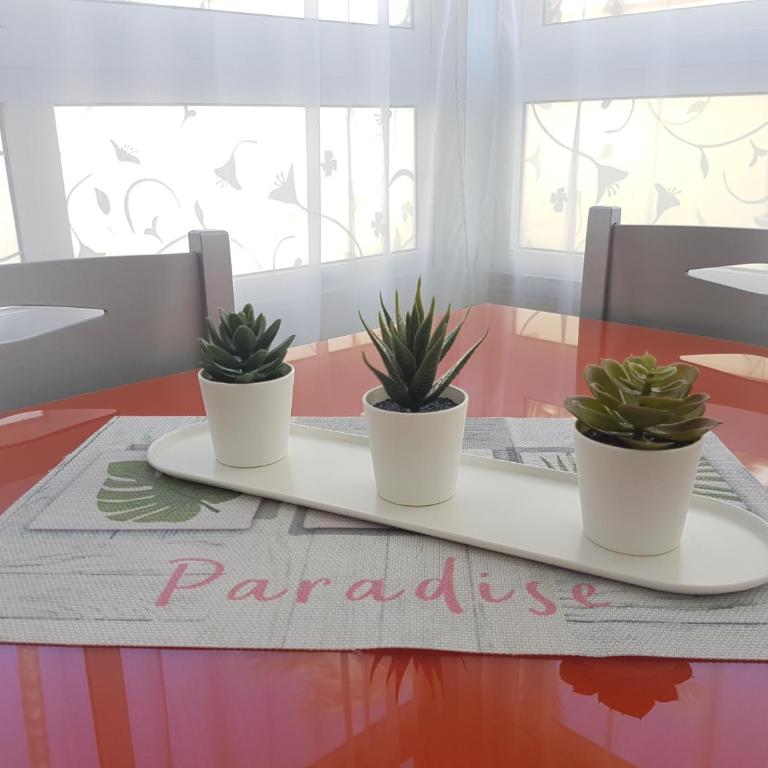 Apartment Pitaya - Apartamento de 2 dormitorios - 7