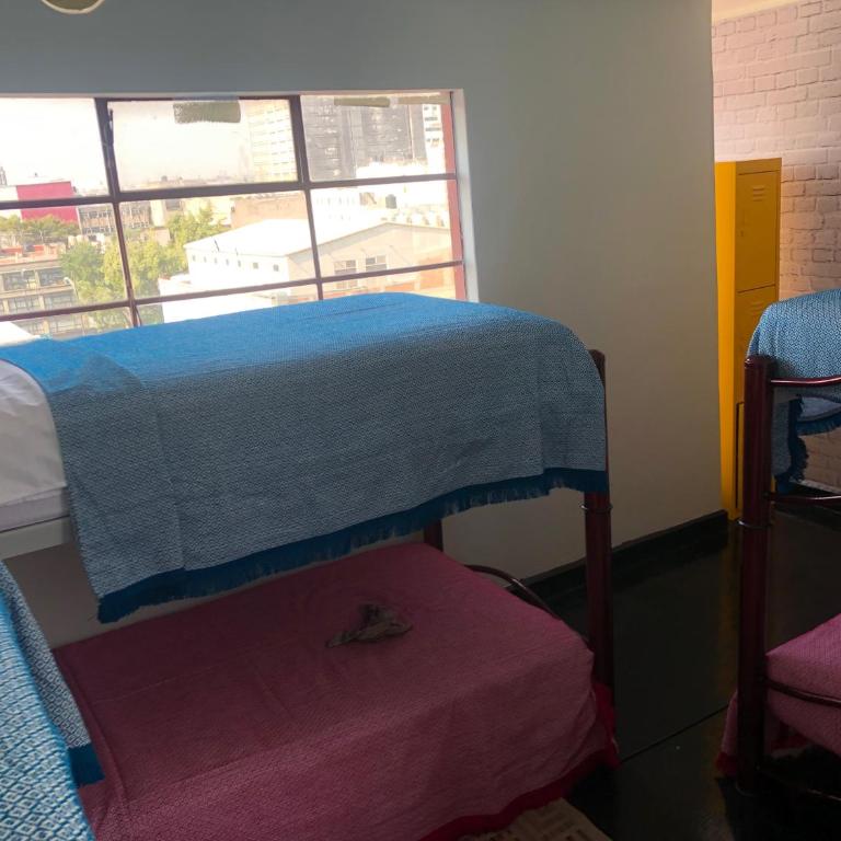 Casa Eufemia Hostel type - Bunk Bed in Female Dormitory Room - 32