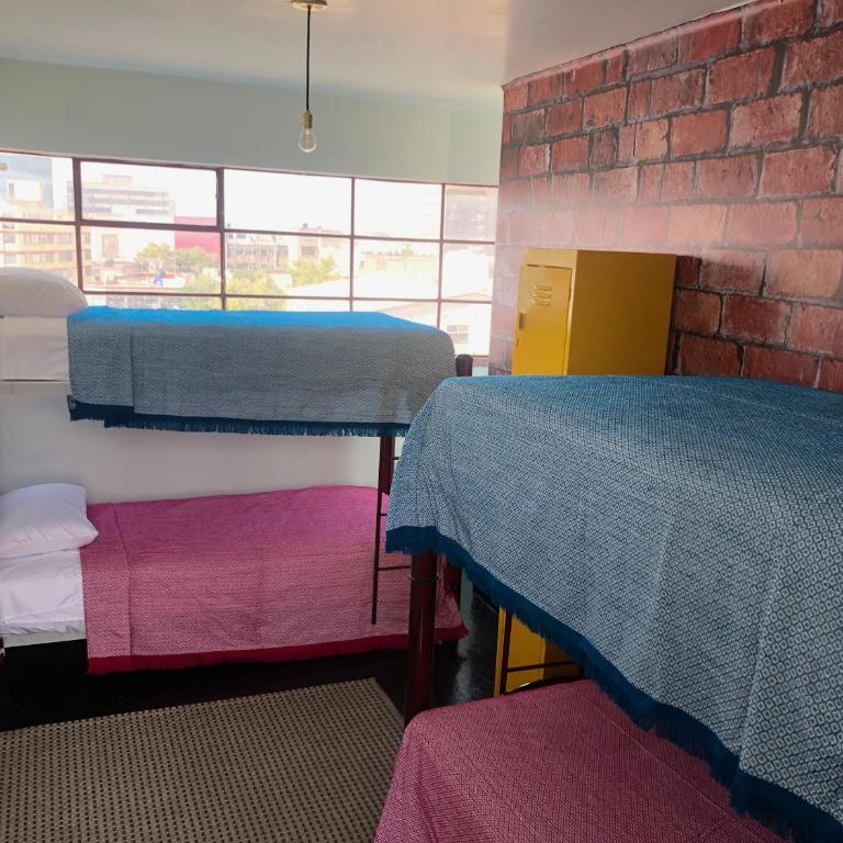 Casa Eufemia Hostel type - Bunk Bed in Female Dormitory Room - 31